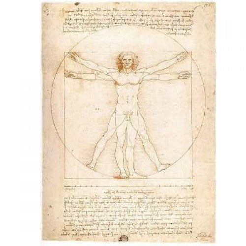 Puzzle El Hombre de Vitruvio - Banbury Arte