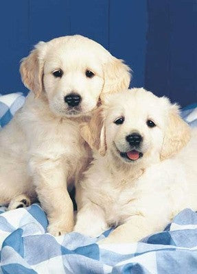 Puzzle Ojos ingenuos - Banbury Arte