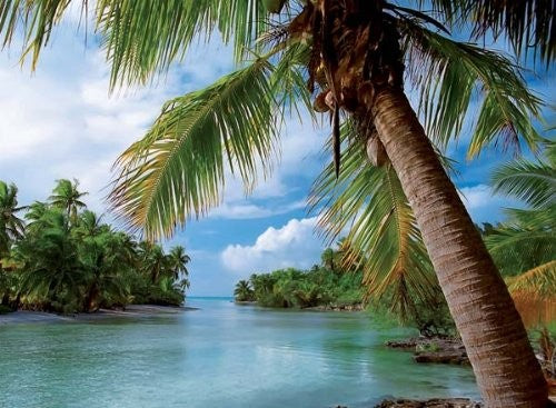 Puzzle Sueño caribeño - Banbury Arte