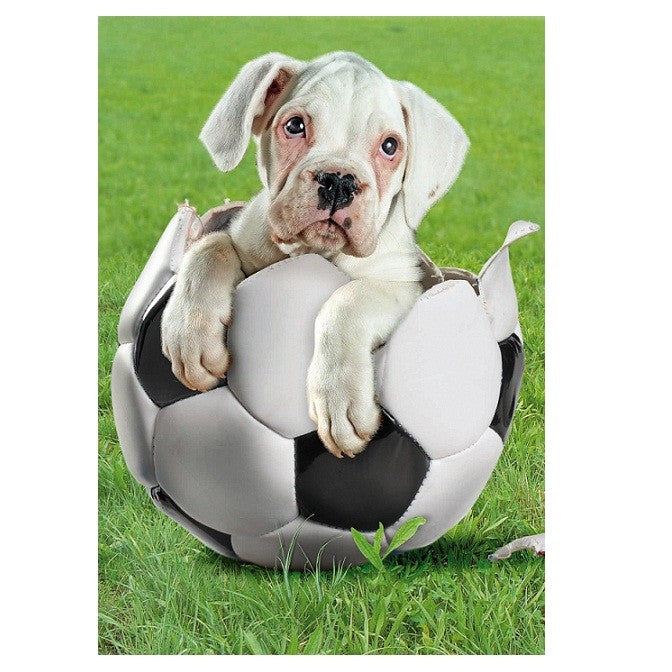 Puzzle Football Player - Banbury Arte