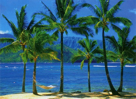 Puzzle Hawaian Paradise - Banbury Arte