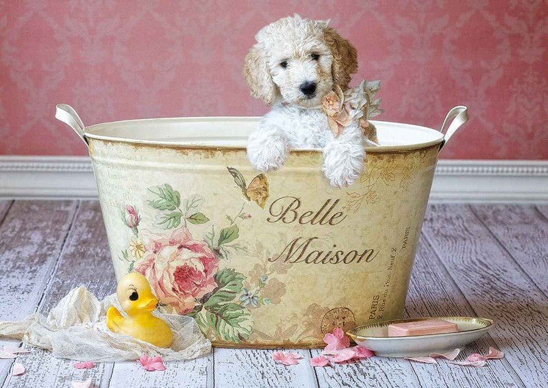 Puzzle Belle Maison - Banbury Arte