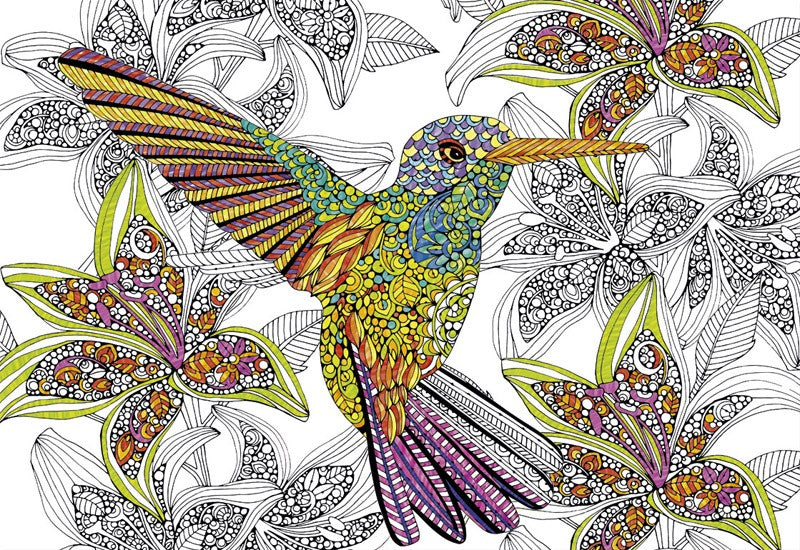 Puzzle Hummingbird  Colouring - Banbury Arte