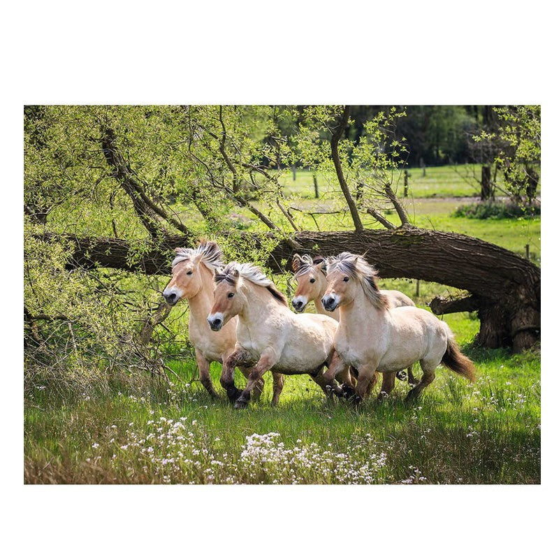 Puzzle Los caballos noruegos del Fiordo - Banbury Arte