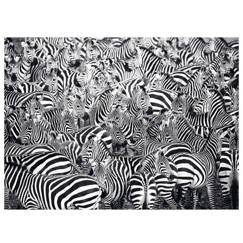 Puzzle Desafío de cebras - Banbury Arte