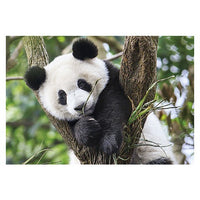 Thumbnail for Puzzle Cute Panda - Banbury Arte