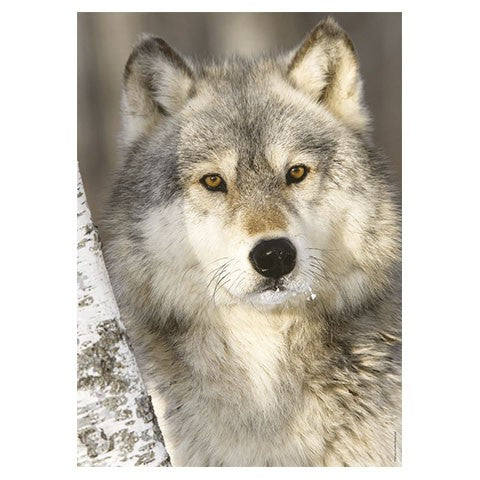 Puzzle Lobo - Banbury Arte