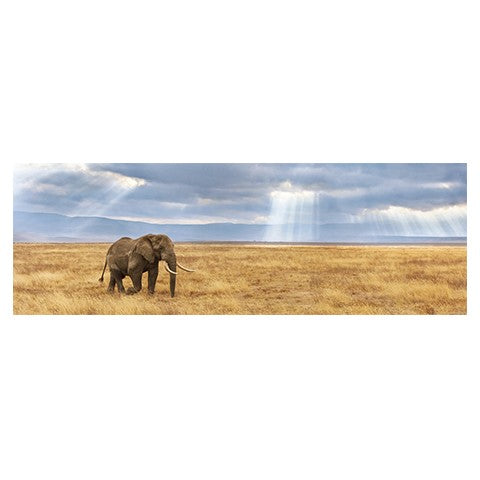 Puzzle Lost - 1000 piezas Clementoni 39484