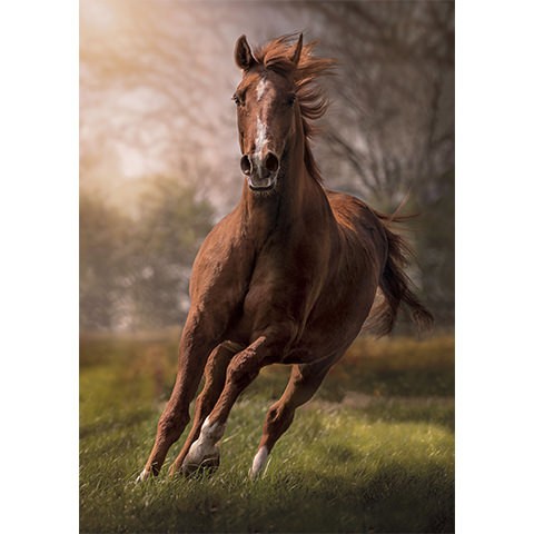 Puzzle Caballos Corriendo - Banbury Arte