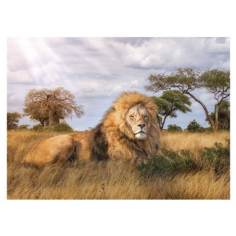 Puzzle The King - Banbury Arte