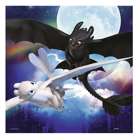 Puzzle Como entrenar a tu dragón - Banbury Arte