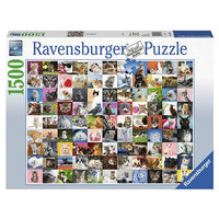 Thumbnail for Puzzle 99 Gatos - 1