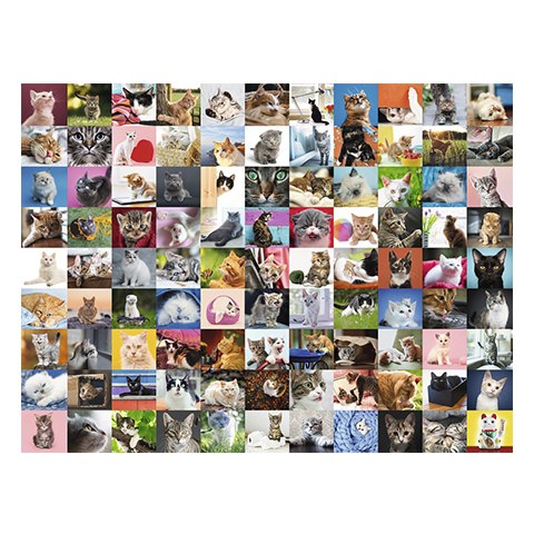 Puzzle 99 Gatos - 0