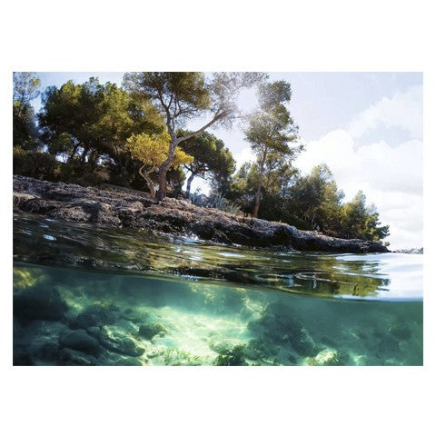 Puzzle Puntos de vista - Banbury Arte