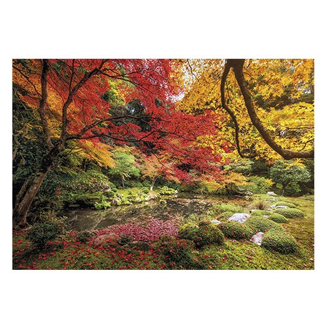 Puzzle Autumn Park - Banbury Arte
