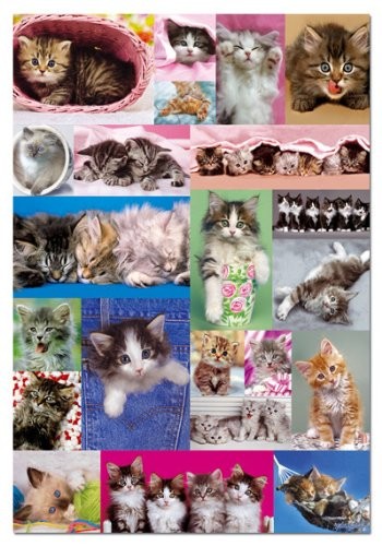 Puzzle Collage gatitos - Banbury Arte