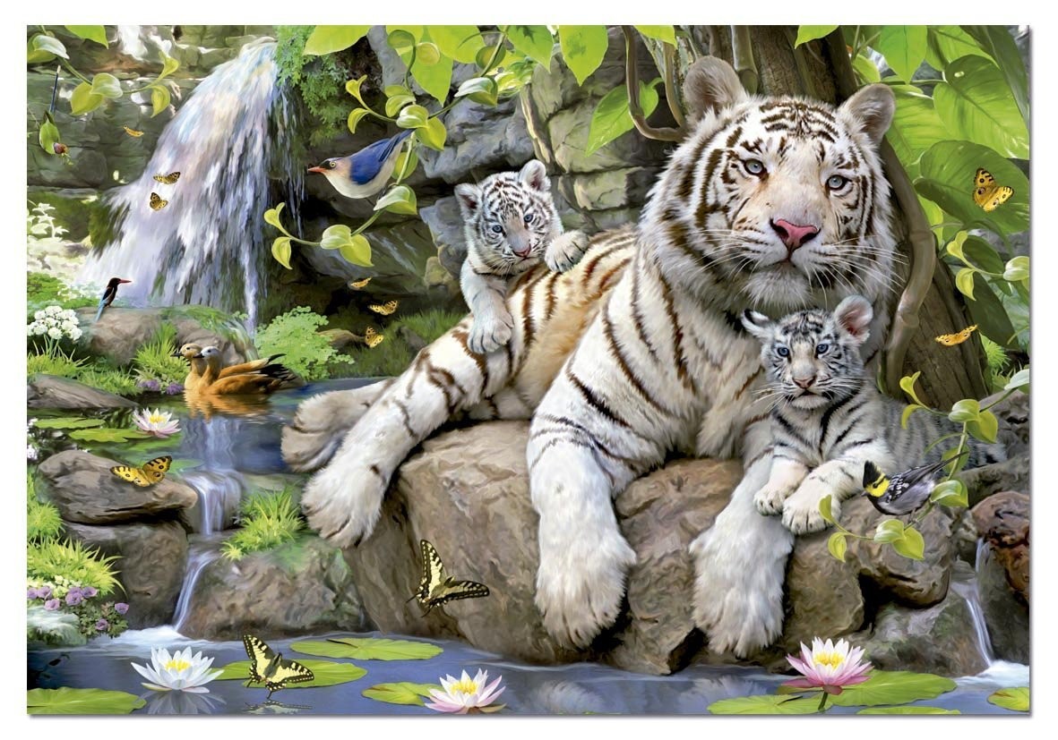 Puzzle Tigres blancos de Bengala - Banbury Arte
