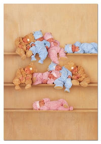 Thumbnail for Puzzle Bear bears on three shelves - 0
