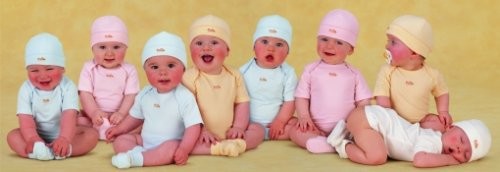 Puzzle Pandilla divertida - Banbury Arte