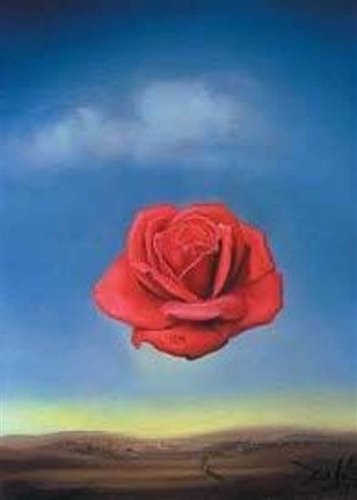 Puzzle Rosa meditativa - Banbury Arte